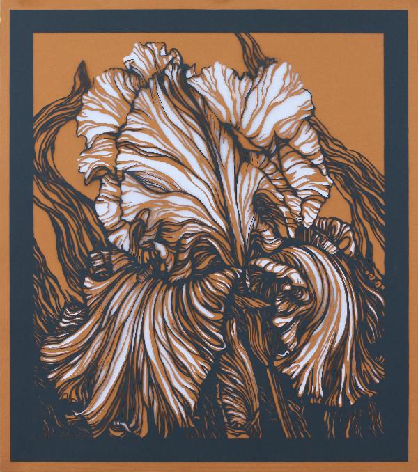 Iris Gray and Orange Original Hand Cut Artwork. Iris Illustration. Paper Cutting Art. Floral Monochrome Illustration. Botanical Art. Graphic arts. Paper Art. Plants