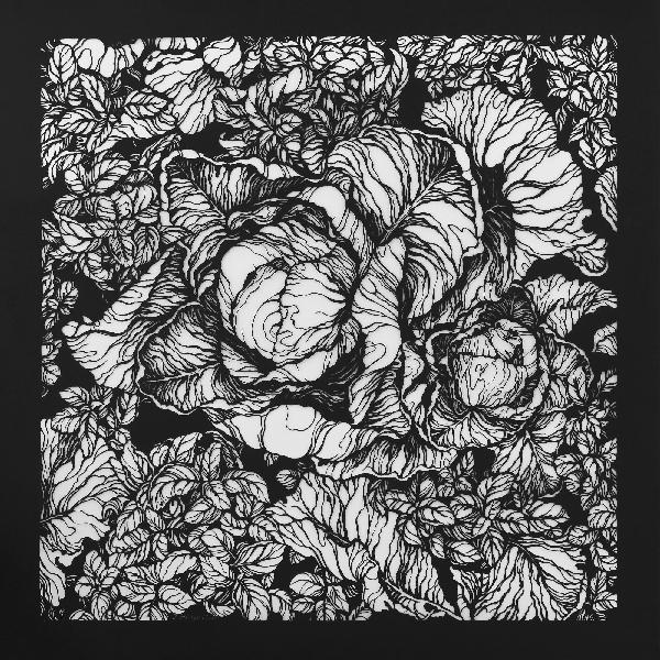 Cabbage Black and White Original Hand Cut Artwork. Paper Cutting Art. Floral Monochrome Illustration. Botanical Art. Graphic arts. Paper Art. Plants. Vegetables Drawing