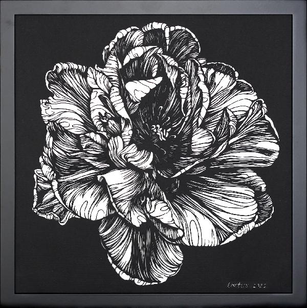 Tulip Black and White Original Hand Cut Artwork. Paper Cutting Art. Floral Monochrome Illustration. Botanical Art. Graphic arts. Paper Art. Plants