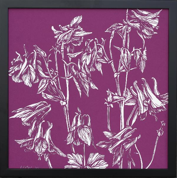 Pink Aquilegia Original Hand Cut Artwork. Pink Flower Picture. Floral Art. Graphic Arts. Botanical Art.  Aquilegia Flower Drawing. Paper Cutting Art.  Paper Art. 