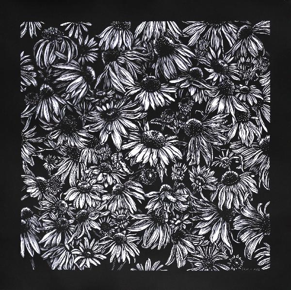 Echinacea Black and White Floral Illustration. Paper Cutting Art. Echinacea Picture. Graphic Arts. Botanical Art. Echinacea Flower Drawing. 