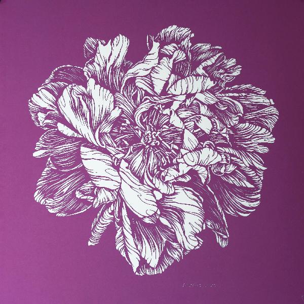 Pink Peony Original Hand Cut Artwork. Graphic Arts. Botanical Art. Floral Illustration. Paper Cutting Art. Plants