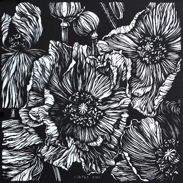 Poppies Black and White Floral Illustration. Original Hand Cut Artwork. Graphic Arts. Botanical Art. Floral. Paper Cutting Art. Plants