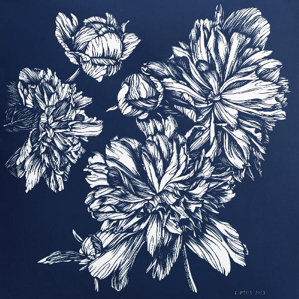 Peonies. Floral Monochrome Illustration. Botanical Art. Graphic arts. Paper cutting art. Navy Picture. Paper Art.