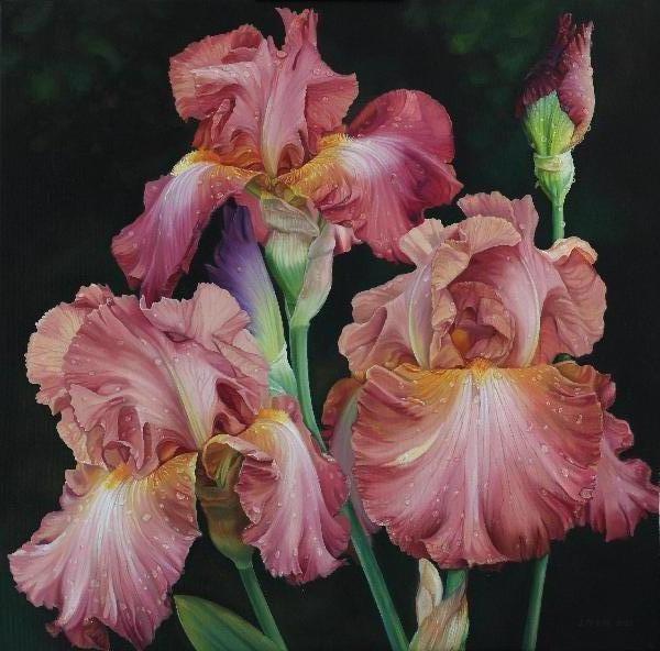 Irises, Oil Painting on Canvas. Photorealism. Flower Painting. Hyperreal Pink Irises. Blossom. Floral Art. Botanical