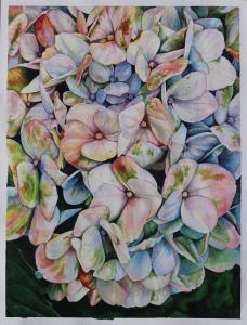 Hydrangea Watercolor Painting