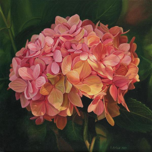 Hydrangea Oil Painting on Canvas. Photorealistic Pink Hydrangea. Flower Painting. 