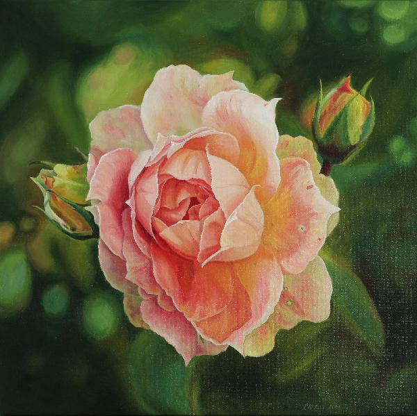 Rose Oil Painting on Canvas. Realistic Rose Flower Painting. Photorealistic Oil Painting. Pink Rose 